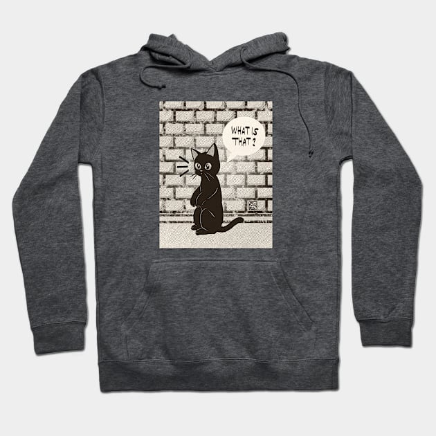 Something he sees Hoodie by BATKEI